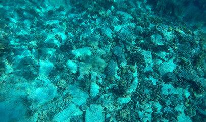 A mysterious jumble of limestone building blocks at the bottom of the Red Sea. Sharm El Sheikh,...