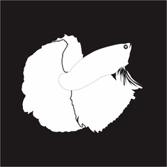 Vector silhouette of betta fish. Vector illustration