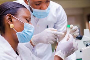 two young african health care researchers working in life science laboratory about the cure of the...