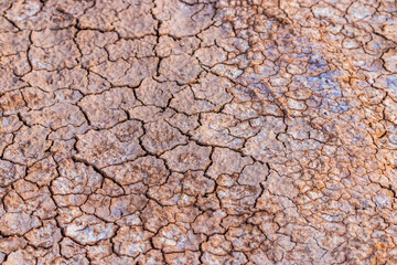 Cracked clay ground into the dry season. Global desertification of territories