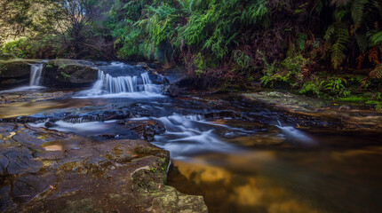 Charles Darwin Walk, Wentworth Falls, NSW, Australia