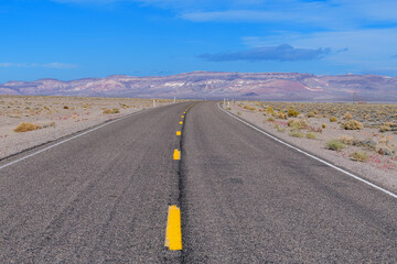 Fototapeta na wymiar Freshly painted yellow lines on a desert road in Nevada, USA