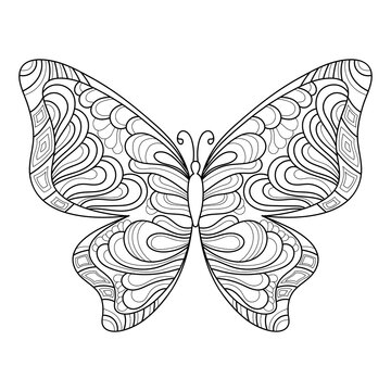 Butterflies for adult and older children anti stress coloring pages in doodle style. Hand drawn sketch. Insect for posters or prints decoration.