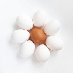 Group of fresh eggs on white background