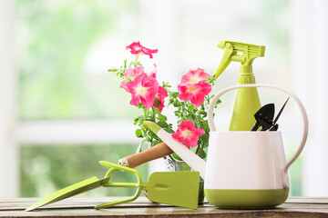 Set of gardening supplies and plant on table