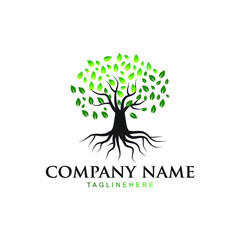 A simple and elegant logo tree that fits your business and uses the latest Adobe illustrations.
