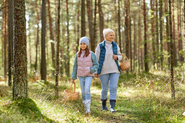 Naklejka na ściany i meble picking season, leisure and people concept - grandmother and granddaughter with baskets and mushrooms walking in forest