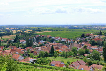 Obraz premium View from the vineyards to Pleisweiler on the german wine route in the palatinate