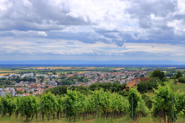 Fototapeta na wymiar View from the vineyards to Berg Badzabern on the german wine route in the palatinate