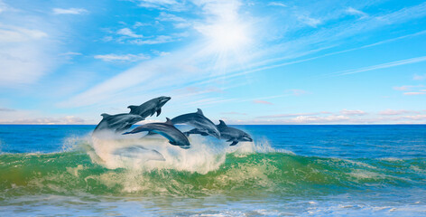 Fototapeta premium Group of dolphins jumping on the water - Beautiful seascape and blue sky