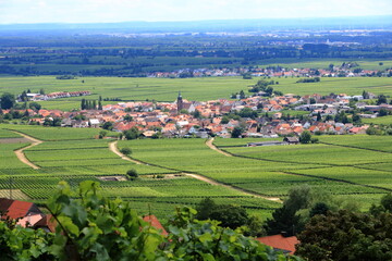 View from the vineyards around the villages rhodt unter rietburg, Hainfeld, Burrweiler, Weyher,...