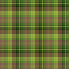 Seamless pattern in warm green and brown colors for plaid, fabric, textile, clothes, tablecloth and other things. Vector image.