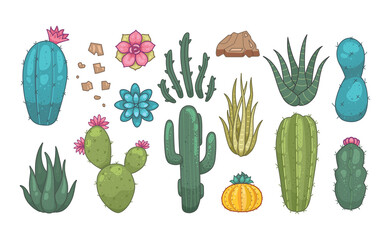 Cactus and succulent plants vector icons in cartoon style. Home plants cacti isolated on white background.