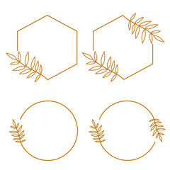 Vector design templates. Hexagon with leaves. circle with leaves