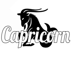 Capricorn Zodiac By J. Reef