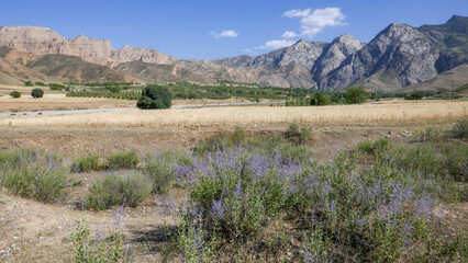 Fototapeta premium Mountain landscape in Mazar-i-Sharif countryside near Panjakent in Sughd region of Tajikistan