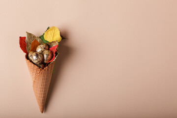 quail eggs and colorful dried leaves in a cone