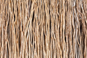 wooden poles texture, poles are used for house construction in Madagascar countryside. Maroantsetra street market.