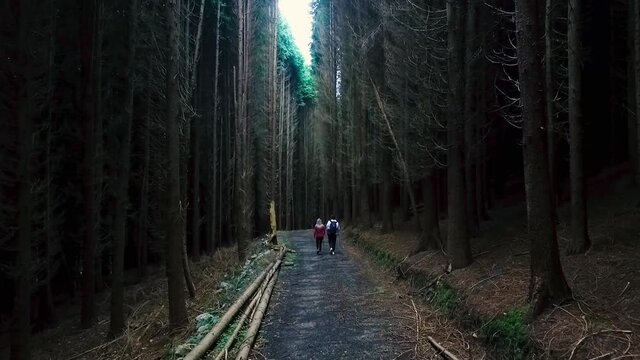 Pareja paseando por el bosque