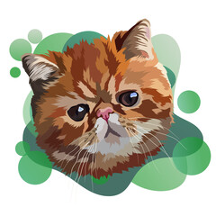 Exotic shorthair cat vector illustration. Portrait, head, green gradient.