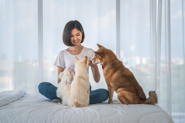 woman have leisure time play with her dogs in bedroom in apartment