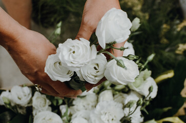 cięte róże © Martyna