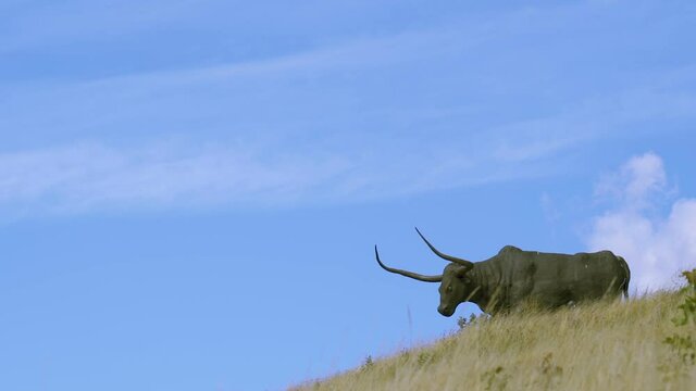 Rakvere Estonia 2020 August 30: The bull structure on top of the hill in Rakvere Estonia with the green grases on the hill