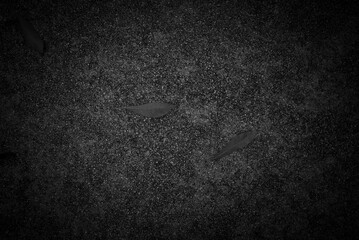 Dark leaves graveled floor. Mixed mineral and rock texture