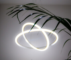 Roślina na tle lampy w orbity. © Jan