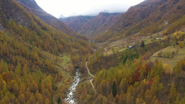 Autumn trees in mountains