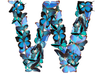 letter of blue butterfly