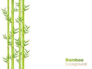Naklejka premium Bamboo background design, natural green oriental decoration