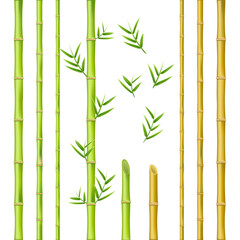 Bamboo stems design, natural green oriental decoration