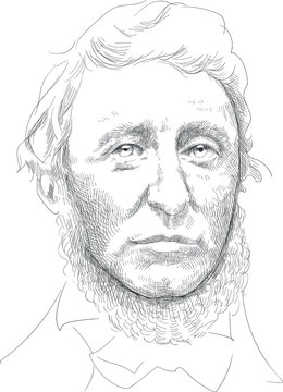 Henry David Thoreau - American Writer, Philosopher, Publicist, Naturalist And Poet. Prominent Representative Of American Transcendentalism