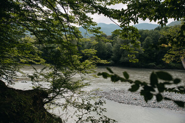 The nature of the Caucasus
