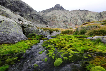 Dia lluvioso al aire libre en la montaña de gredos, 