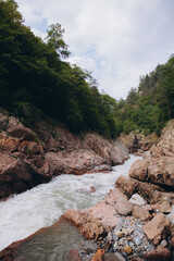 The nature of the Caucasus