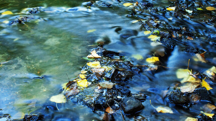 A stream in the forest in Chisinau, Moldova