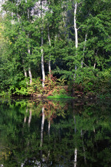 Fototapeta premium A lake with a forest in Chisinau, Moldova