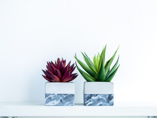 Concrete pot cubic shape or geometric cement planter for cactus and succulent plants.