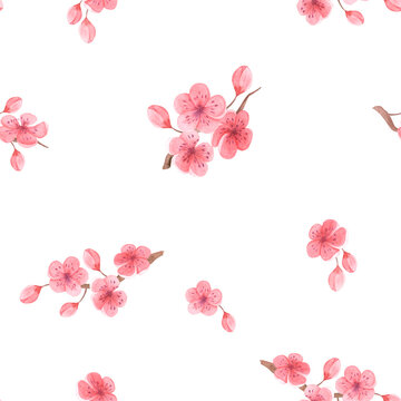 Watercolor seamless pattern with cherry blossoms on a white background, hand drawn, sakura, spring decor. For textiles, packaging, wedding design, invitations, greetings.