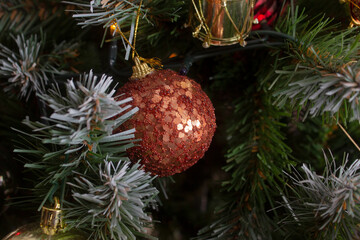 christmas ball in a tree.