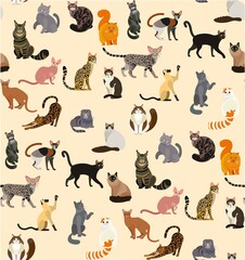 Colorful different cat breeds seamless pattern. Vector Illustration.
