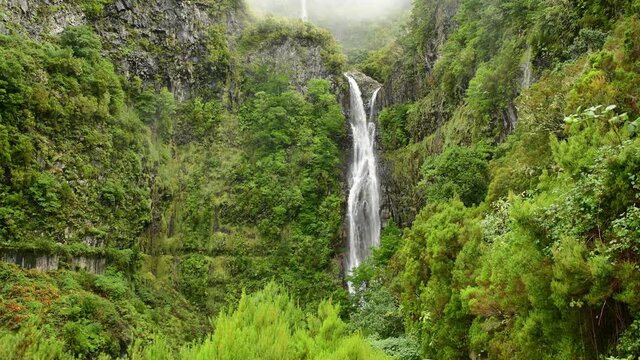 Waterfall in the forest - Madeira island