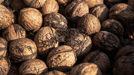 Close shot of walnuts