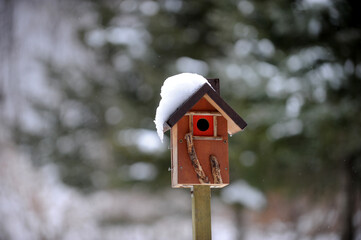 the snow in the birds' houses