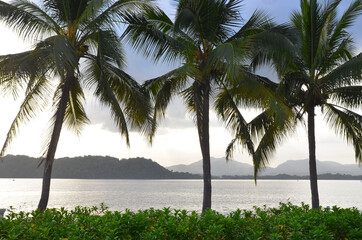 Panama, Amerique Centrale.