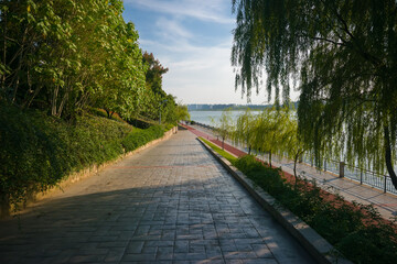 path in the park with a lantern and a bench