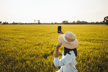 Traveler woman using mobile phone on rice field farm in Thailand