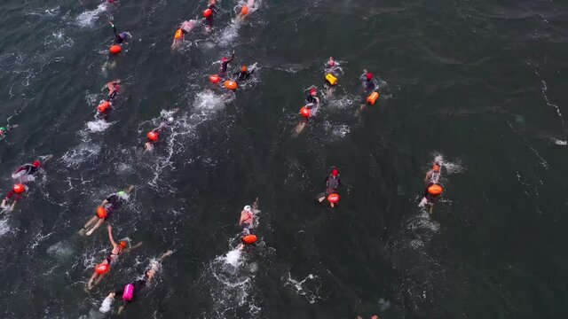 Aerial 4k shot of open water swim competition. Unrecognisable people swimming in open water during competition, view from above